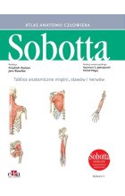 Tablice anatomiczne mięśni, stawów i nerwów. Angielskie mianownictwo