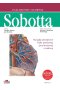 Atlas anatomii człowieka Sobotta. Angielskie mianownictwo. Tom 2.