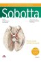 Atlas anatomii człowieka Sobotta Tom 3 Łacińskie mianownictwo Głowa, szyja i układ nerwowy