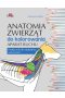 Anatomia zwierząt do kolorowania. Aparat ruchu. Podręcznik dla studentów weterynarii