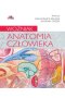 Anatomia człowieka. Woźniak