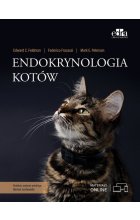 Endokrynologia kotów
