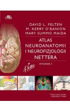Atlas neuroanatomii i neurofizjologii Nettera
