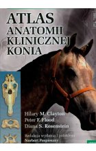 Atlas anatomii klinicznej konia