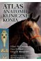 Atlas anatomii klinicznej konia