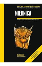 Anatomia prawidłowa człowieka miednica podręcznik dla studentów i lekarzy 