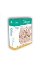 Anatomia Sobotta Flashcards Neuroanatomia