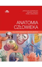 Anatomia człowieka dla ratowników medycznych
