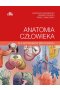 Anatomia człowieka dla ratowników medycznych