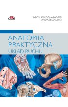 Anatomia praktyczna Układ ruchu