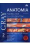 Gray Anatomia Podręcznik dla studentów Tom 2