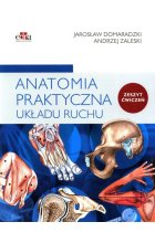 Anatomia praktyczna układu ruchu Ćwiczenia