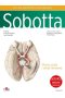 Atlas anatomii człowieka Sobotta Tom 3. Angielskie mianownictwo  Głowa, szyja i układ nerwowy