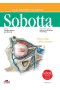 Atlas anatomii człowieka Sobotta. Angielskie mianownictwo. Tom 3.
