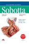 Atlas anatomii człowieka Sobotta. Angielskie mianownictwo. Tom 1.