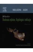 Wheeler Budowa zębów, fizjologia i okluzja