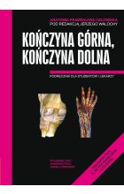 Anatomia prawidłowa człowieka kończyna górna kończyna dolna podręcznik dla studentów i lekarzy 