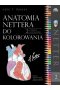 Anatomia Nettera do kolorowania
