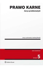 Prawo karne. Zarys problematyki 