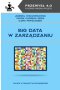 Big data w zarządzaniu 