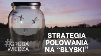 Myślenie strategiczne: jak rodzą się najlepsze pomysły?