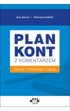 Plan kont z komentarzem