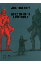 Wobec zagadnień ustrojowych