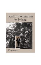 Kultura wizualna w Polsce. Fragmenty 