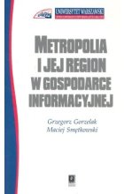 Metropolia i jej region w gospodarce informacyjnej