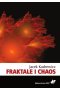 Fraktale i chaos