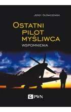 Ostatni pilot myśliwca