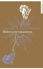 Elektryczny romantyzm