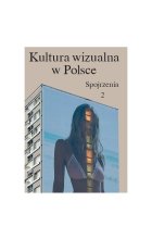 Kultura wizualna w Polsce. Spojrzenia 