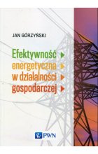 Efektywność energetyczna w działalności gospodarczej