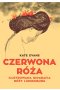 Czerwona Róża