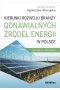 Kierunki rozwoju branży odnawialnych źródeł energii w Polsce