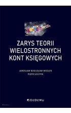 Zarys teorii wielostronnych kont księgowych