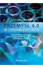Przemysł 4.0 w organizacjach