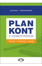 Plan kont z komentarzem - handel, produkcja, usługi