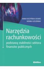 Narzędzia rachunkowości podstawą stabilności sektora finansów publicznych 