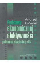 Podstawy ekonomicznej efektywności podziemnej eksploatacji złóż