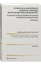 Cyfryzacja współpracy sądowej i dostępu do wymiaru sprawiedliwości w sprawach cywilnych, handlowych