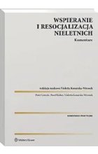 Wspieranie i resocjalizacja nieletnich Komentarz