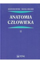Anatomia człowieka. Tom 2