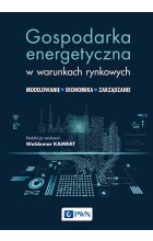 Gospodarka energetyczna w warunkach rynkowych