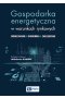 Gospodarka energetyczna w warunkach rynkowych