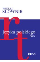 Wielki słownik języka polskiego. Tom 4