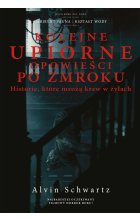Kolejne upiorne opowieści po zmroku. Historie, które mrożą krew w żyłach