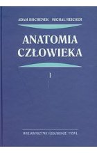 Anatomia człowieka. Tom 1
