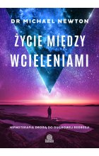 Życie między wcieleniami